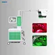 green light weight loss laser